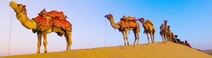 Travel Outlet India : Rajasthan Tour Packages